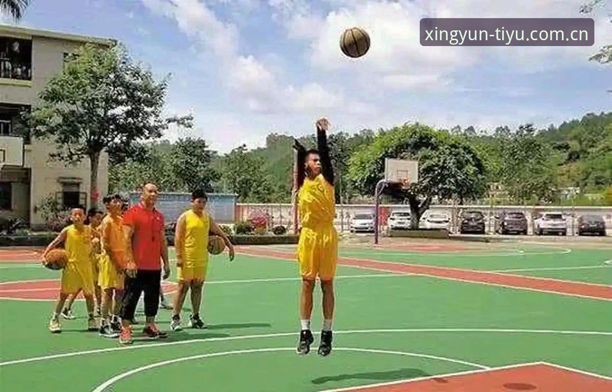 天行体育数据整合 天行体育数据整合深度评测:一个老用户的实战经验分享